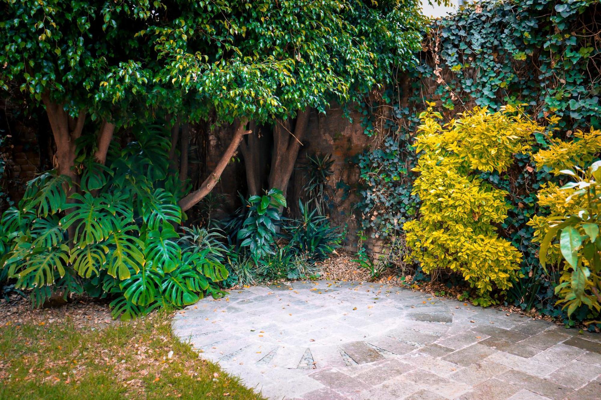 Suites Cuija Coyoacan Mexico City Exterior photo